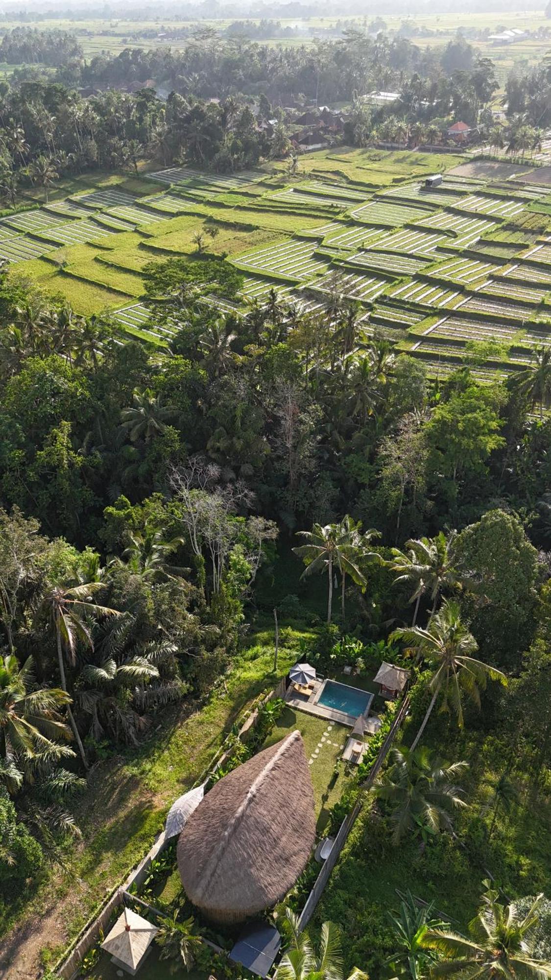 Pitu, A Punggul Village Escape Sangeh 外观 照片